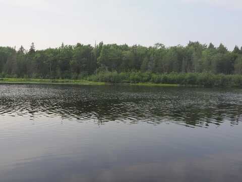 1 Curleys BLVD, Paradise, MI 49768