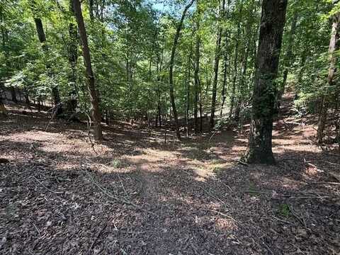 2115 Palisade Drive, Ellijay, GA 30540