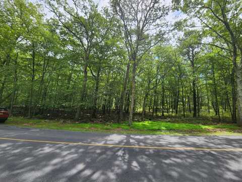 Mallard, Bushkill, PA 18324