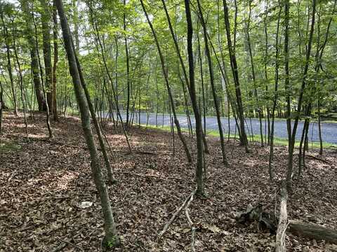 5095 Yukon Drive, East Stroudsburg, PA 18302