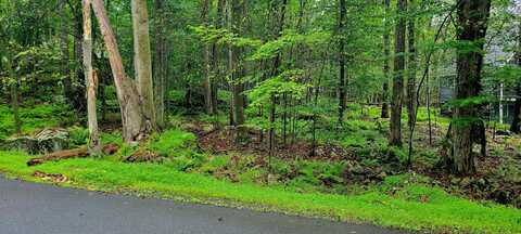 Lot 461 W Creek View Drive, Clifton Township, PA 18424