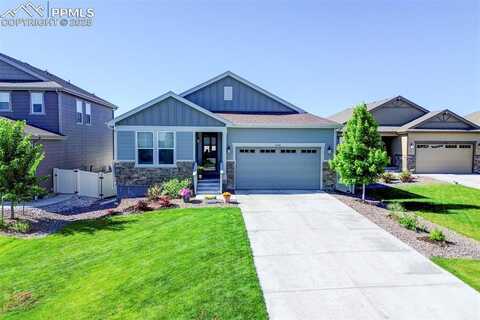 6228 Dapplegray Street, Parker, CO 80134