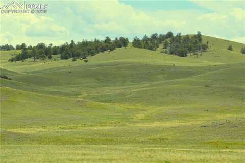 Ahlers Lane, Hartsel, CO 80449