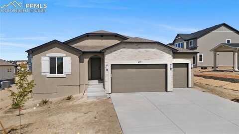 817 Sunny Shore Drive, Monument, CO 80132