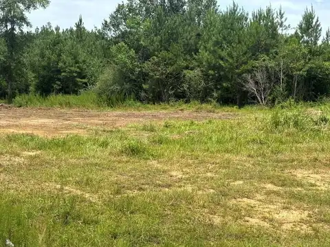 NHN Robert Rhodes Rd parcel 2, Poplarville, MS 39470