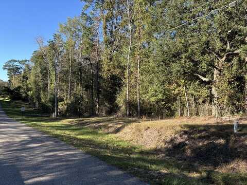 0 Ridgeview Dr, Carriere, MS 39426