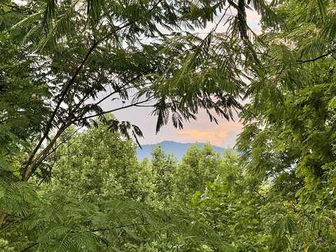 3 HUSCUSSON DR, Franklin, NC 28734