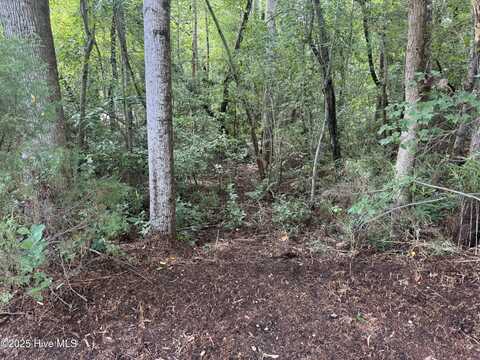 25 Garner Lane, Pinehurst, NC 28374