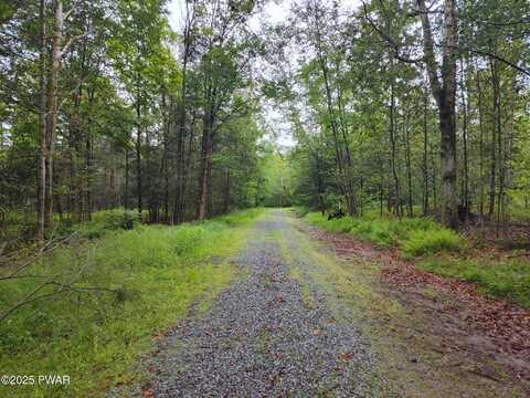 Lot 109 (AKA) GIBRALTER Road, Newfoundland, PA 18445