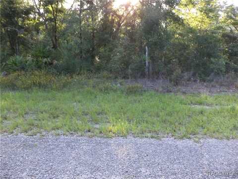 6402 N Matheson Drive, Citrus Springs, FL 34434