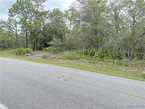 Fulton Avenue, Weeki Wachee, FL 34613