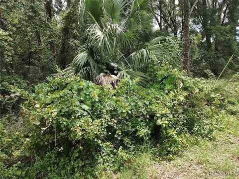 8488 E Henderson Trail, Inverness, FL 34450