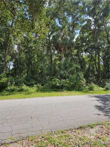 8504 E Henderson Trail, Inverness, FL 34450