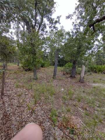 8486 N Calcutta Avenue, Dunnellon, FL 34433