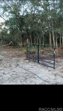 8486 N Calcutta Avenue, Dunnellon, FL 34433