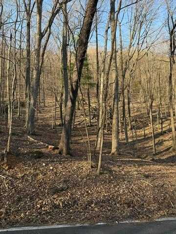 210 Windflower Drive, Big Canoe, GA 30143