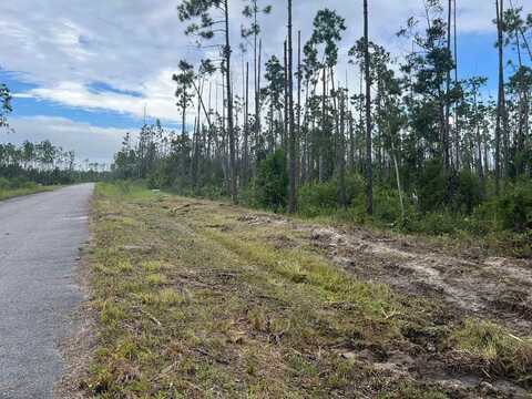 0 E Bay Dr, Wewahitchka, FL 32465