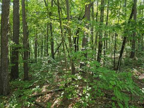 0 Lawson Federal Road, Ball Ground, GA 30107