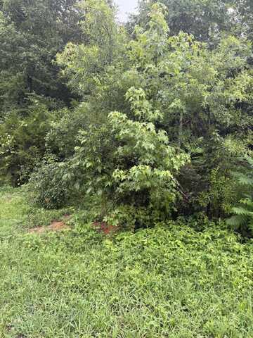 349 Carolyn Lane, Decatur, TN 37322