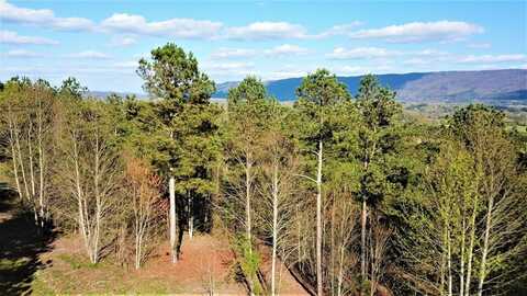 609 Co Road, Etowah, TN 37331