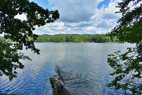 Lot 3 Kirkham Drive, Rockwood, TN 37854
