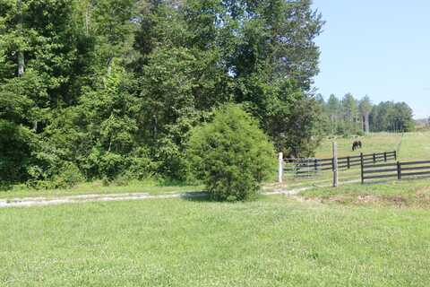 13585 N Nopone Valley Road, Decatur, TN 37322