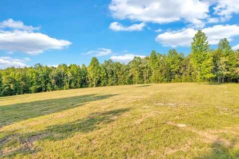 1450 Soak Creek Ln Lane, Grandview, TN 37337