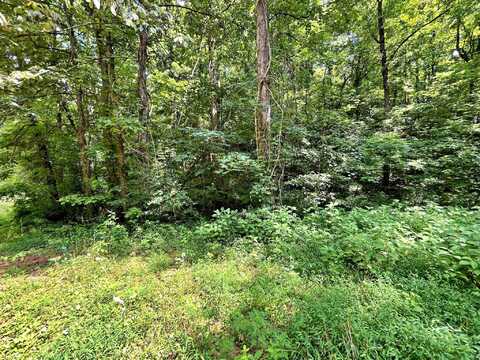 Lot 6 Raby Hollow Road, Kingston, TN 37763