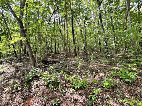 Lot 5 Raby Hollow Road, Kingston, TN 37763