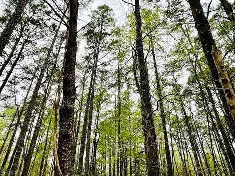 .26 AC Meadowview Lane, Lancaster, VA 22503