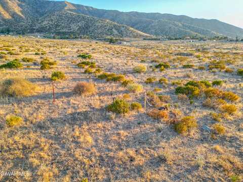 121 Ste Roadrunner Lane, Littlerock, CA 93543