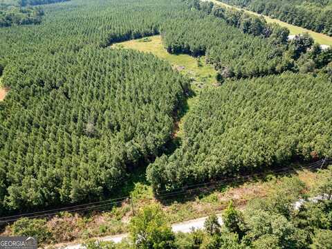 0 Seven Island, Monticello, GA 31064
