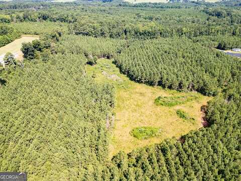 0 Seven Island, Monticello, GA 31064