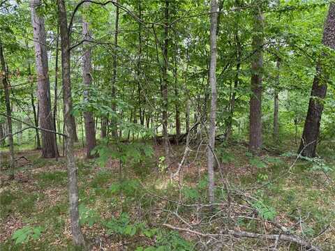 Tbd White Overlook Drive, Breezy Point, MN 56472
