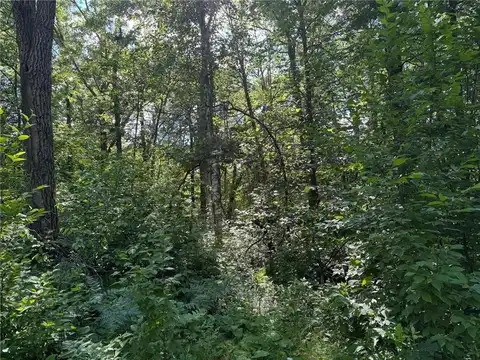 Xxx Blue Ridge Drive, Breezy Point, MN 56472