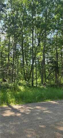 Tbd Cedar Street, Breezy Point, MN 56472