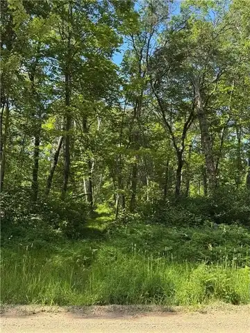 Tbd Blue Ridge Drive, Breezy Point, MN 56472