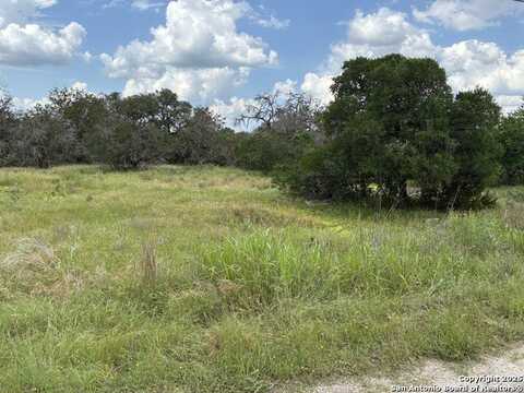 187 Bluff View, Spring Branch, TX 78070