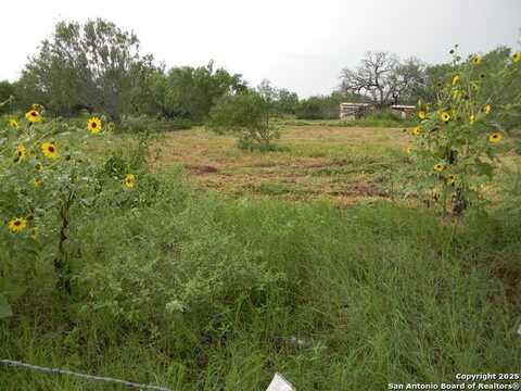 459 cecilia, Pleasanton, TX 78064