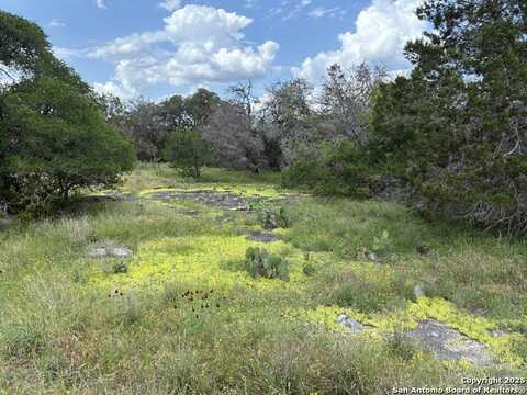 203 Bluff View, Spring Branch, TX 78070