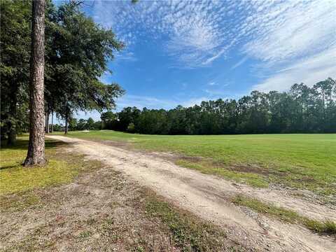 Lot 134 Sapelo Park Drive NE, Townsend, GA 31331