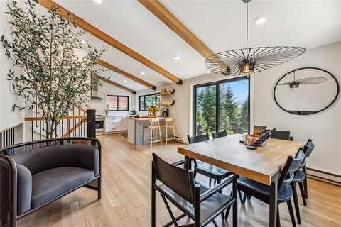 249 E COYOTE COURT, Silverthorne, CO 80498