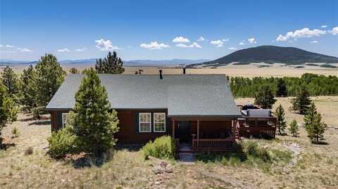 1301 SHEEP RIDGE ROAD, Fairplay, CO 80440