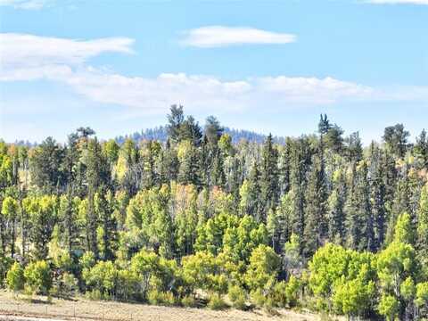 900 REMINGTON ROAD, Como, CO 80432