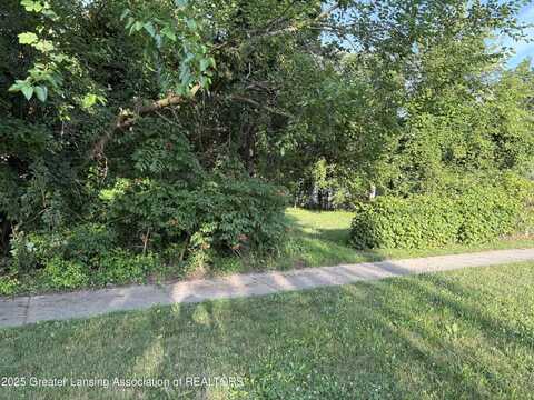 0 S Nelson Street, Potterville, MI 48876