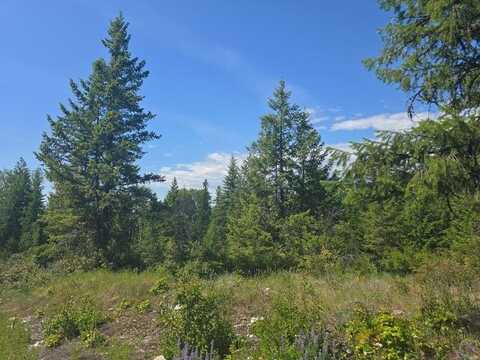 37xx Hill Loop Rd, Kettle Falls, WA 99141