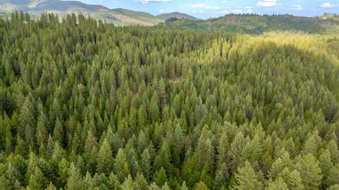 00 Buck Creek Rd, Loon Lake, WA 99148