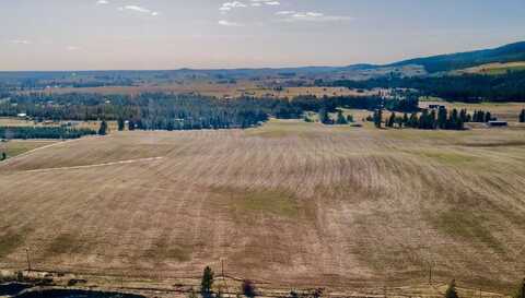 13505 E Gibbs Rd, Mica, WA 99023