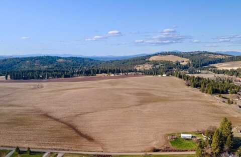 13503 E Gibbs Rd, Mica, WA 99023