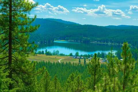 4xxx Ali Vista Way, Loon Lake, WA 99148